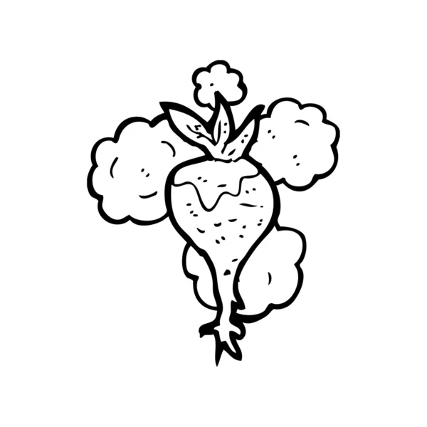 Корнеплоды — стоковый вектор