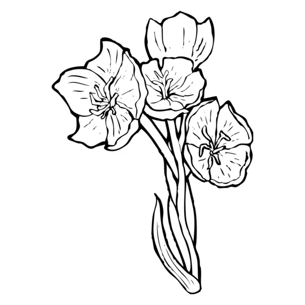 Illustration de fleur réaliste — Image vectorielle