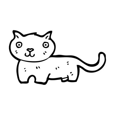 gülümseyen bir kedi