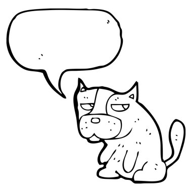 huysuz küçük köpek