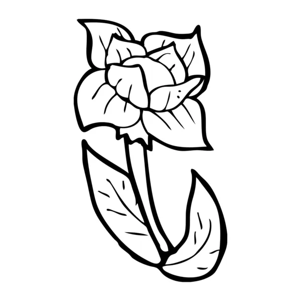 Flor de amapola — Vector de stock