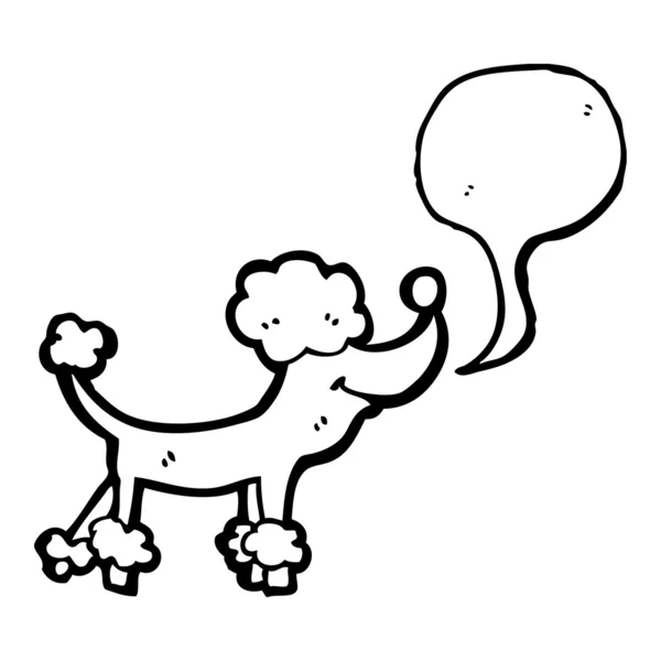 Poodle. — Vector de stock