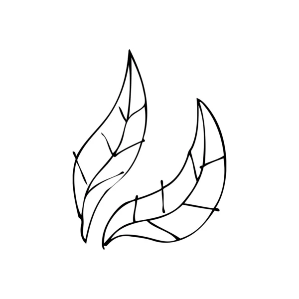 Leaf doodle — Stock Vector