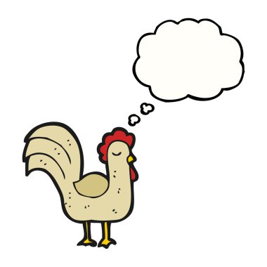 Beyaz bir arka plan üzerinde tavuk