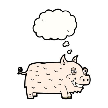 Beyaz arka planda domuz