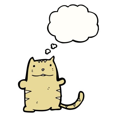 Beyaz arka plandaki kedi