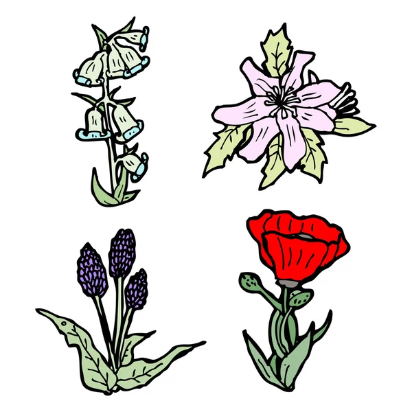 Colección de flores — Vector de stock