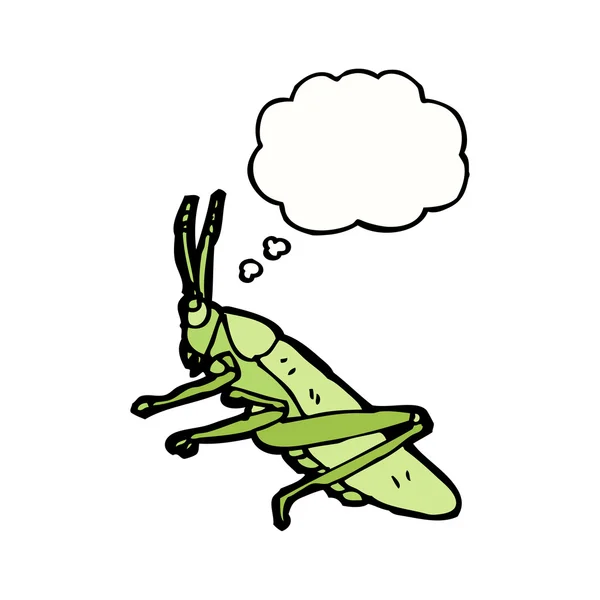 Cricket — Stockvector