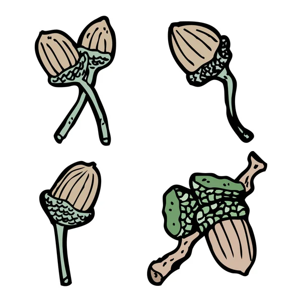 Acorn collectie — Stockvector