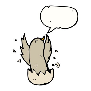 yumurtadan çıkım kuş