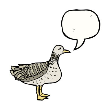 Beyaz arkaplandaki kuş