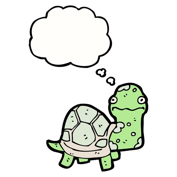 Schildkröte — Stockvektor