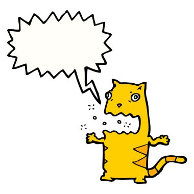 Beyaz bir arka planda brüt kedi