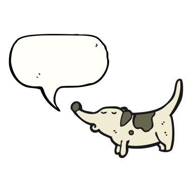 şişman küçük köpek