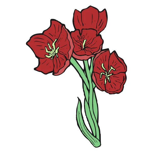 Tulipanes — Vector de stock