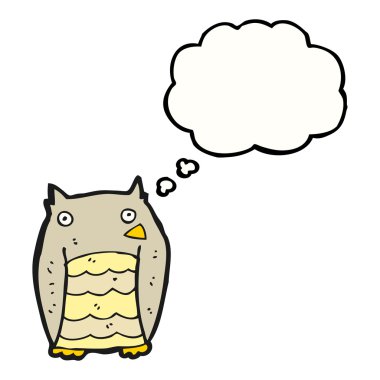 Beyaz arkaplanda baykuş