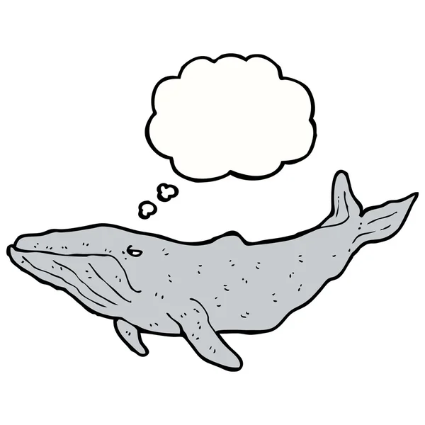 クジラ — ストックベクタ
