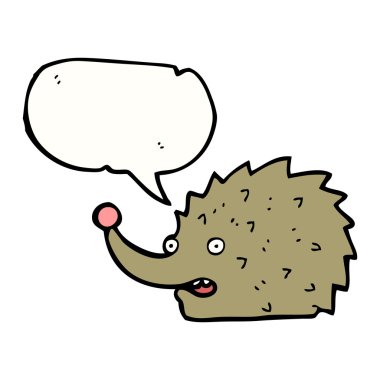 funny hedgehog