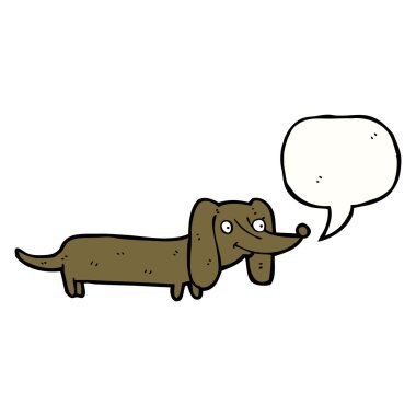 Dachshund