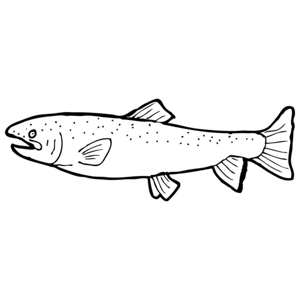 Poisson de dessin animé — Image vectorielle