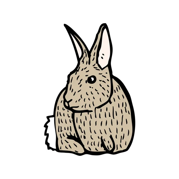 Rabbit — Stock Vector