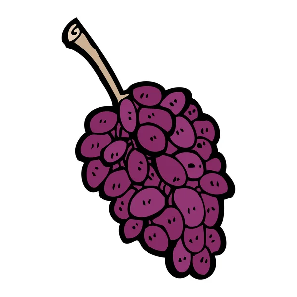 Bunch of grapes — Stock Vector