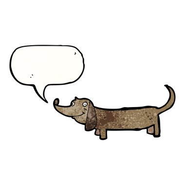 Dachshund