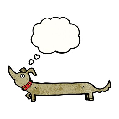 küçük sosis köpek