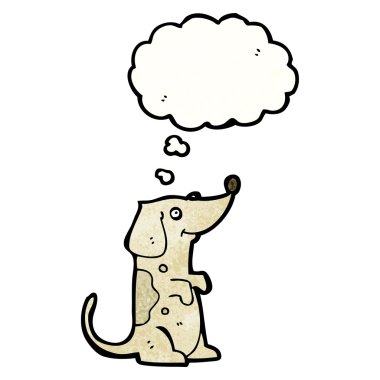 şirin komik küçük köpek