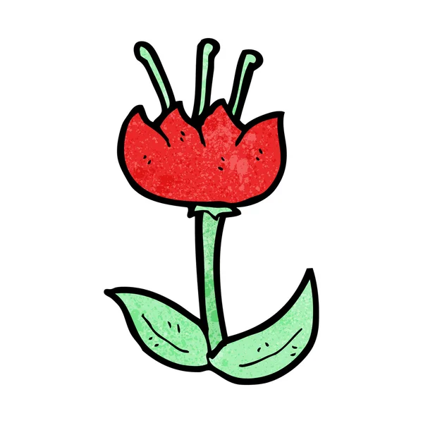 Red tulip — Stock Vector
