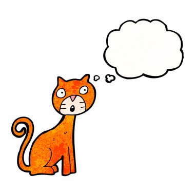 kedi ile düşünce balonu