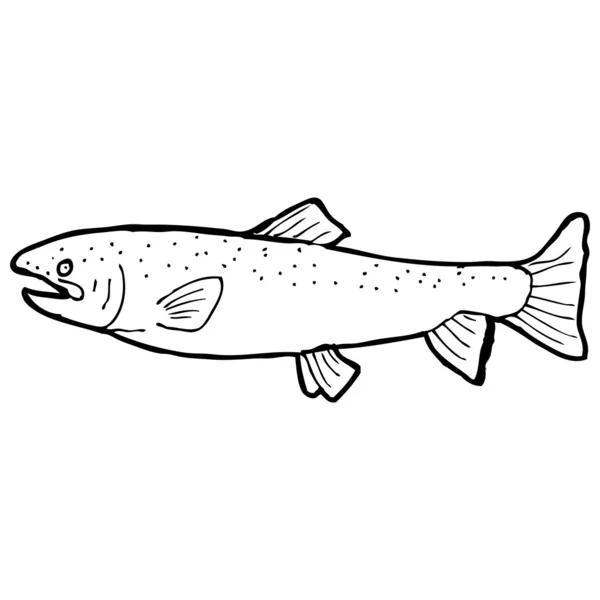 Desenho de peixe preto e branco — Vetor de Stock