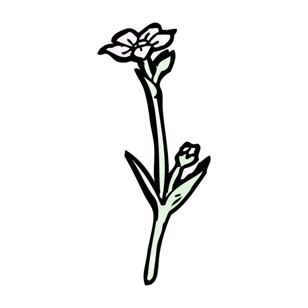 Wildflower — Stock Vector