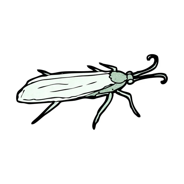 昆虫科 — 图库矢量图片