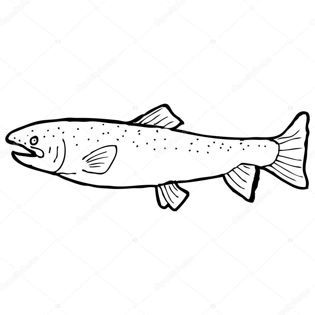 Unduh - Vektor, kartun gambar ikan hitam dan putih pada latar belakang putih — Stok Ilustrasi Gambar ikan hitam dan putih - Stok Vektor
