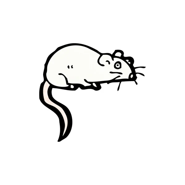 Rato branco — Vetor de Stock