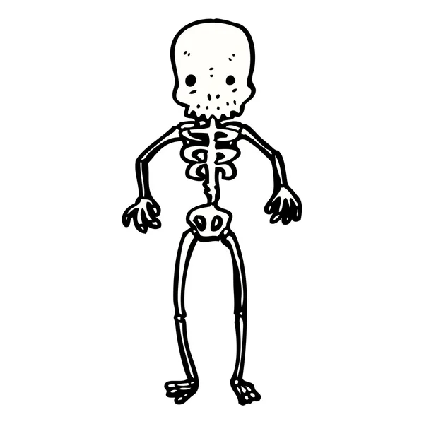 Esqueleto — Vector de stock
