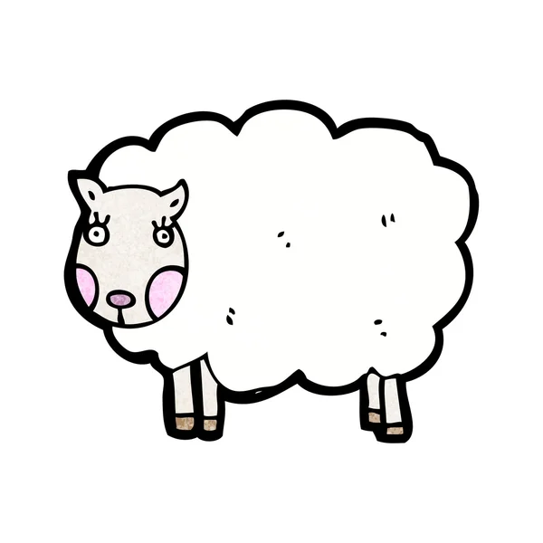 Ovce — Stockový vektor