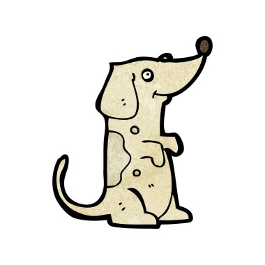 köpek yalvarıyor