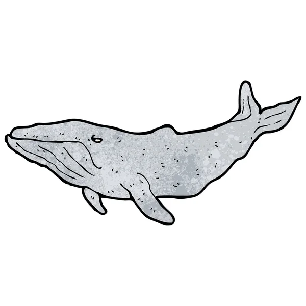 Hrb zadní velryba kreslený — Stockový vektor