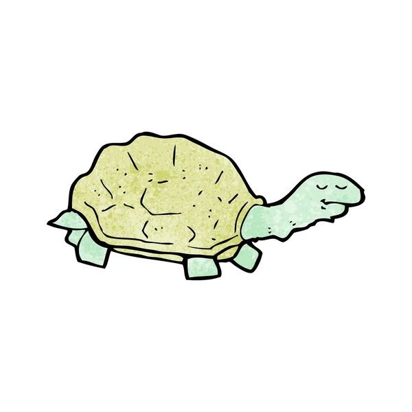 Turtle cartoon — Stock Vector