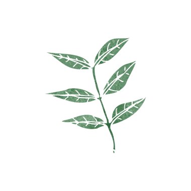 Retro karikatür yaprak