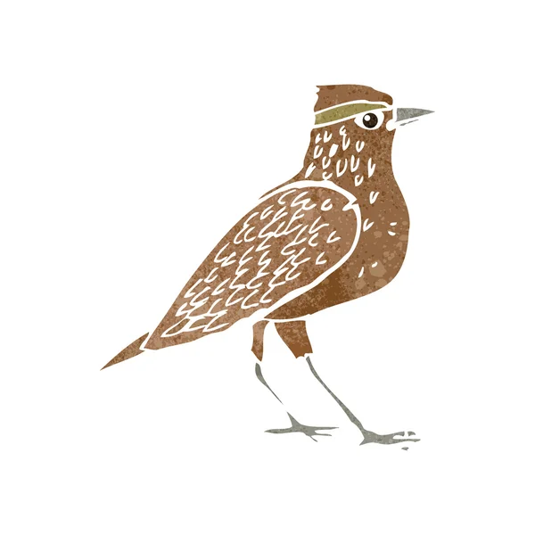 Ilustrace volně žijících ptáků — Stockový vektor
