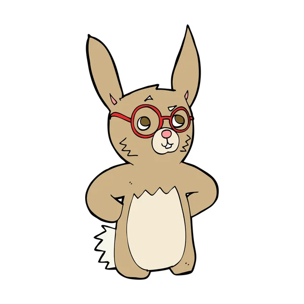 Cartoon rabbit wearing spectacles — Stock Vector