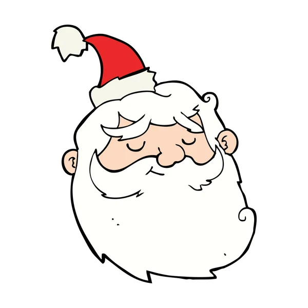 Cartoon santa head — Stock Vector