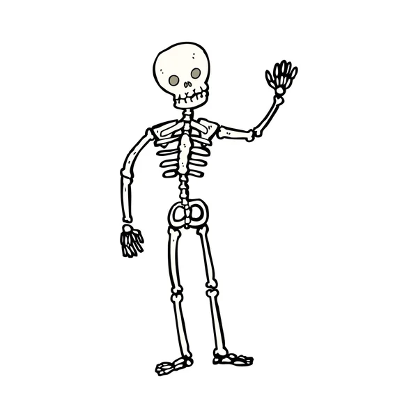 Cartoon waving skeleton — Stock Vector