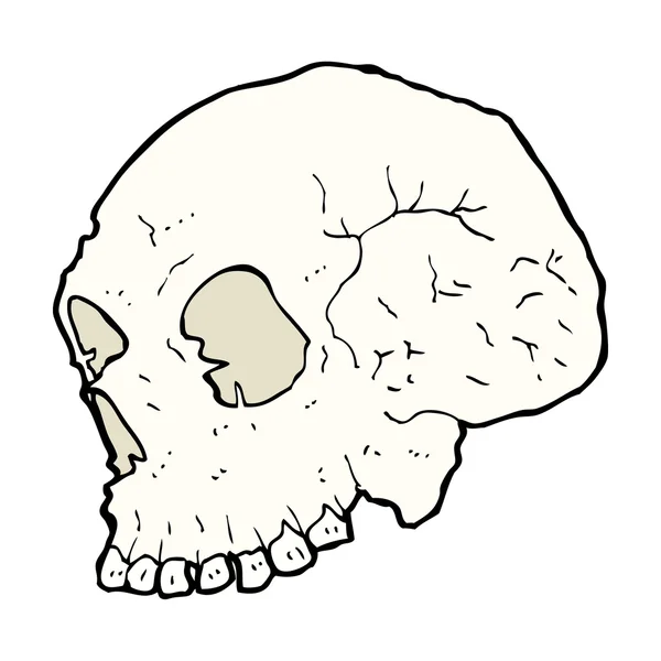 Schedel afbeelding — Stockvector