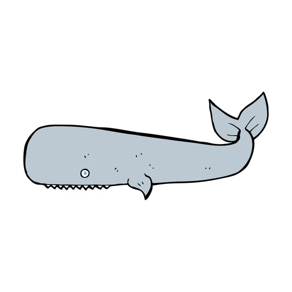 Φάλαινα κινουμένων σχεδίων — Διανυσματικό Αρχείο