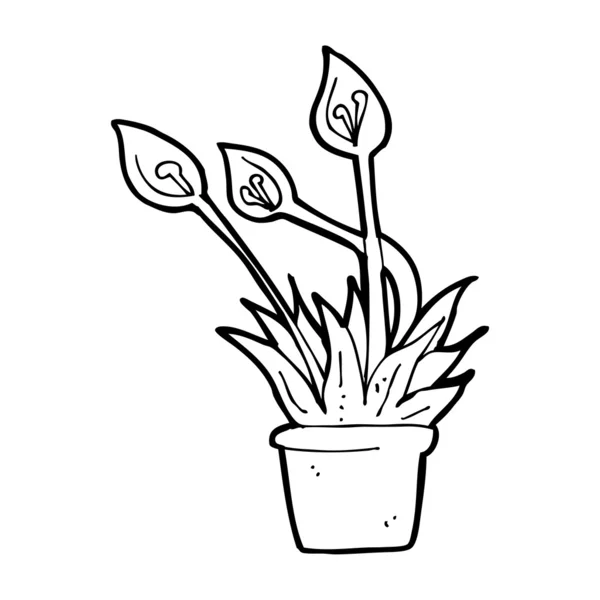 Kreslená orchidej rostlina — Stockový vektor