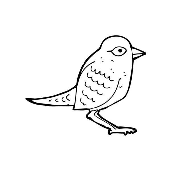 Dessin animé jardin oiseau — Image vectorielle